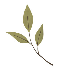Green Leaf drawing illustration 