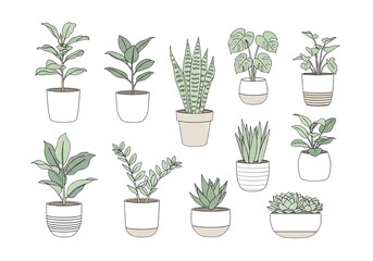 Fototapeta premium Collection of hand drawn potted houseplants and succulents isolated on a solid backdrop transparent background