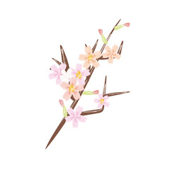 右方向に伸びる桜の枝