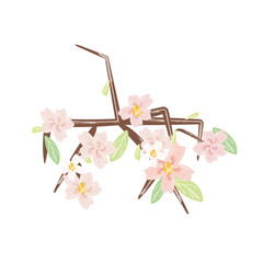 下方向に伸びる桜の枝