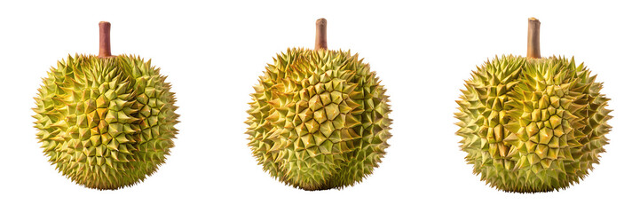 Set For durian fruits isolated on transparent background