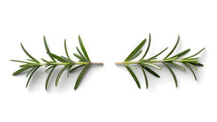 Fresh rosemary sprigs for delicious culinary creations, perfect for adding flavor to your favorite dishes with aromatic herbs