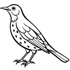 White Song Thrush Line Art