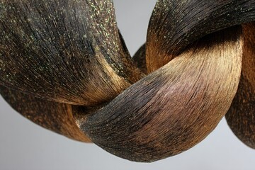 Abstract Intertwined Metallic Shapes