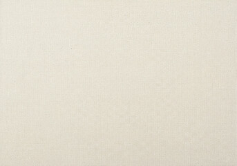 Fototapeta premium Simple Off-White Woven Fabric Texture