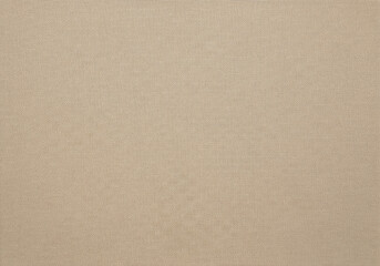 Simple Beige Woven Fabric Texture