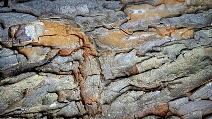 Old wooden textured for wallpaper background 
