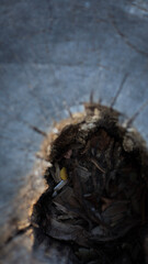 abstract background, texture, rusted metal, wood background