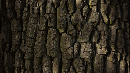 abstract background, texture, rusted metal, wood background