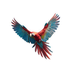 Obraz premium Scarlet Macaw in Flight Vibrant Tropical Bird with Spread Wings