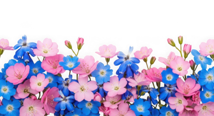 A vibrant border of pink and blue flowers isolated on a transparent background, perfect for spring and summer themes