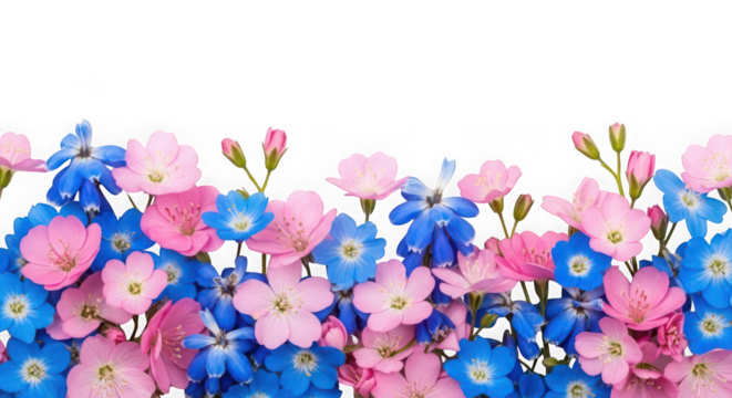 A vibrant border of pink and blue flowers isolated on a transparent background, perfect for spring and summer themes