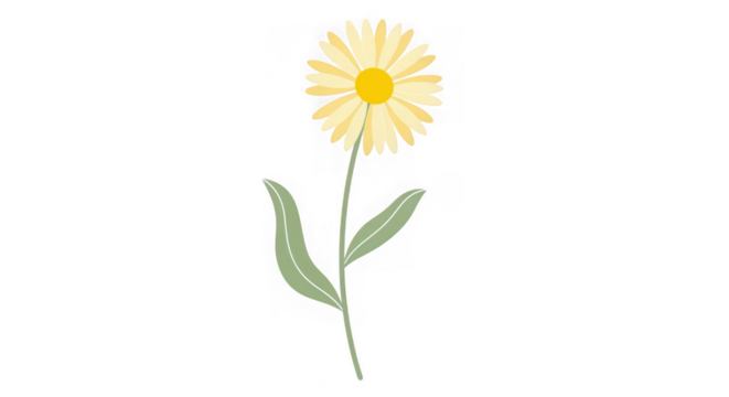 Simple watercolor illustration of a yellow daisy flower with green leaves, isolated on transparent background