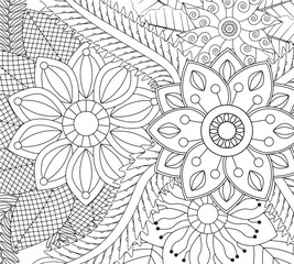 . Adult coloring book flowers