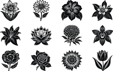 Fototapeta premium Beautiful Black and White Flower Illustrations for Art and Design Inspiration