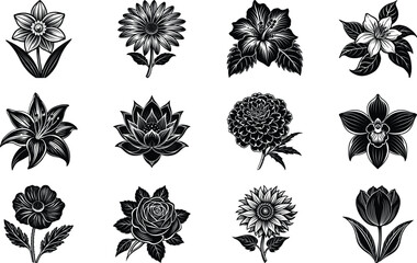 Beautiful Black and White Flower Illustrations for Art and Design Inspiration