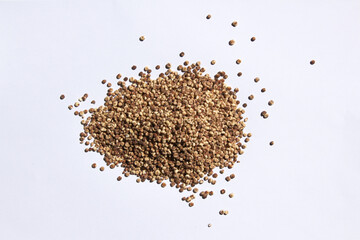 Sorghum placed on a white background.