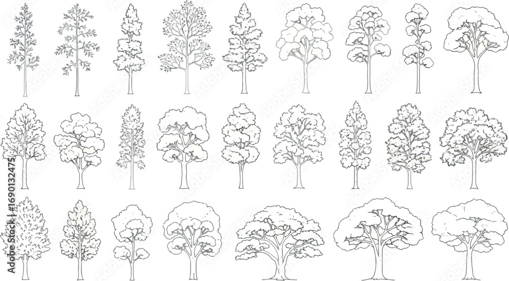 Poster vector vector art of collection of various tree types and shapes drawn in a sketch style transparent