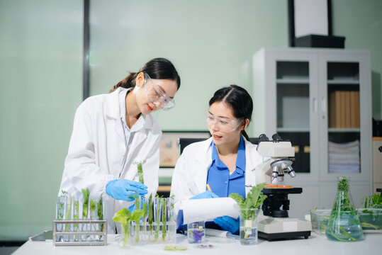 Asian scientists analyze vegetables with microscopes and laptop in clean biotech lab. Food testing, nutrition research