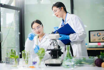 Two Asian female scientists analyze green plants and vegetables in biotech lab. Microscopes, notes,...