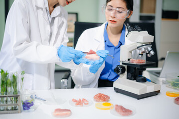 Asian food scientists inspect raw meat samples under microscope for biotech research, hygiene, and...