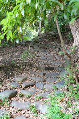 東京大学 本郷キャンパス 三四郎池