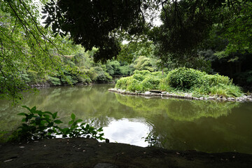 東京大学 本郷キャンパス 三四郎池