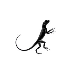 Naklejka premium Majestic Black Lizard in Dramatic Pose High-Resolution Stock Image