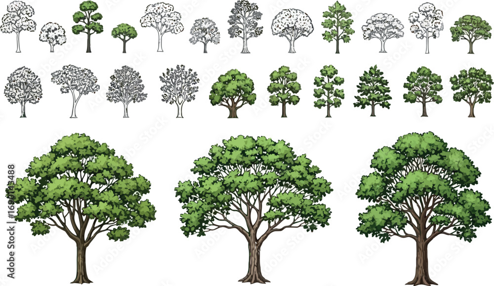 Poster vector vector art of collection of various tree illustrations, including sketches and realistic depi