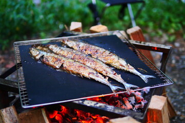 grilled fish on the grill