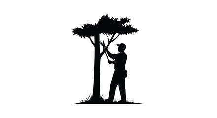 a man pruning branches from a tall tree silhouette