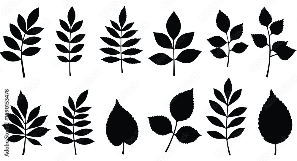 Poster various leaf shapes arranged neatly in rows and columns