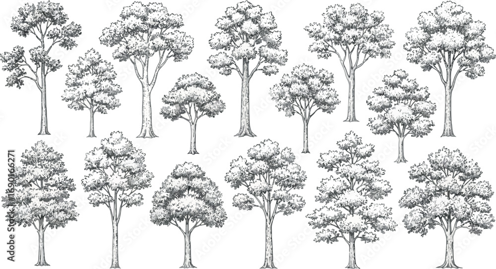 Poster vector vector art of collection of diverse trees in a sketch style, transparent background