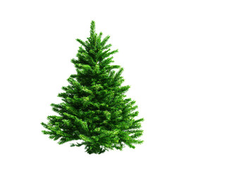 Fototapeta premium Vibrant green pine tree stands tall, showcasing its lush foliage and natural beauty. tree conical shape and dense branches evoke sense of tranquility and connection to nature
