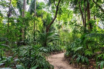 Belem, Brazil - Dec 07, 2024: Museum Emilio Goeldi at Belem, Brazil. Research Institute with Fauna and Flora from Amazon
