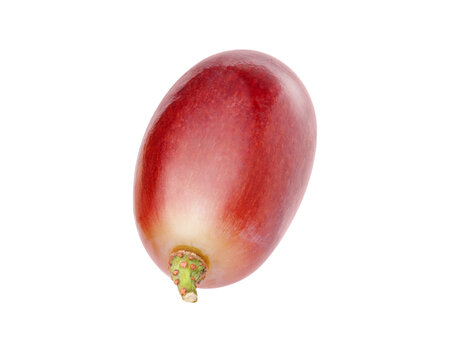 red grape isolated on white