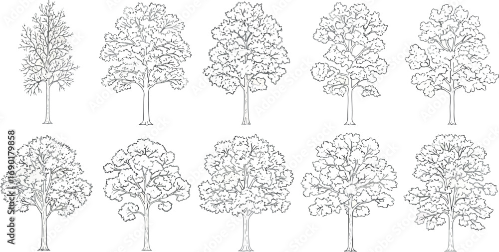 Poster vector vector art of set of line drawing illustrations of various trees transparent background