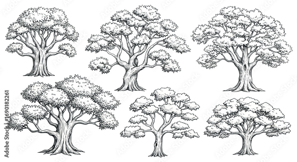 Poster vector vector art of set of detailed black and white illustrations of various trees transparent back