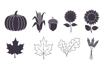 Autumn Harvest and Thanksgiving Elements Vector Illustration