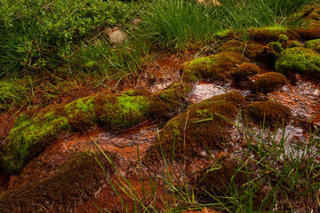 Obraz premium Mineral water in nature