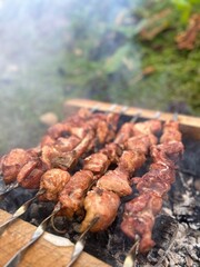 meat on the grill