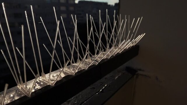 Slow Motion Close-Up of Balcony Bird Spikes for Urban Pest Control. Close-up view of bird deterrent spikes installed along balcony railings, designed to prevent pigeons and other birds from landing.