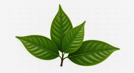 Obraz premium Detailed Illustration of Vibrant Green Leaves on a White Background Art