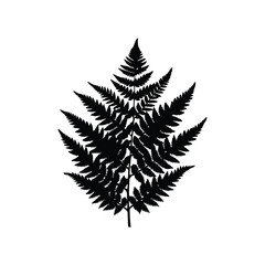 Silhouette of a Fern Frond Against a White Background Creating Contrast, fern plant silhouette vector illustration