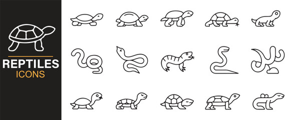 Wildlife reptile vector collection with chameleon, gecko, lizard, and survival symbols