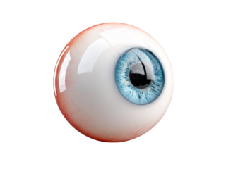 Realistic 3d render of a human eyeball with blue iris, Isolated On White Background, Png Transparent