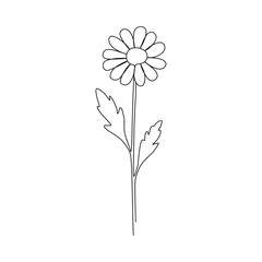 Minimalist one line drawing of a daisy flower with leaves in elegant black outline. Modern floral line art illustration perfect for wall art, posters, prints, logos, invitations, and botanical design 