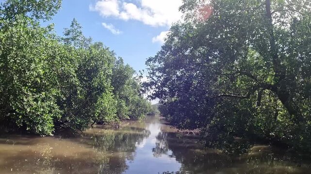One of the most Beautiful Backwaters boat ride or boating just sit relax and enjoy the boat ride with coconut trees on both the sides at Honnavar, Gokarna, Karnataka, India	