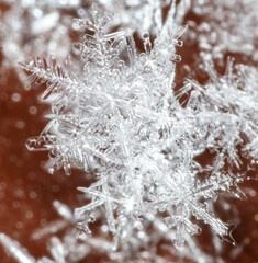 A snowflake is shown in the image