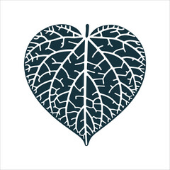 Heart-Shaped Leaf Vein Pattern on White Nettle Heart shaped nettle leaf with veins forming a labyrinthine pattern healing resilience